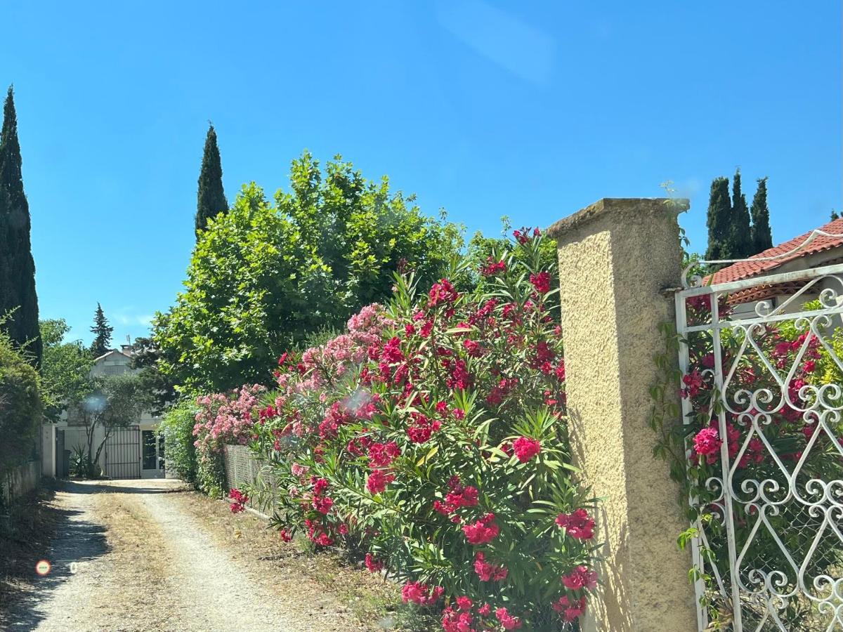 Clos Des Plages Maison De Vacances Ла-Сьота Экстерьер фото